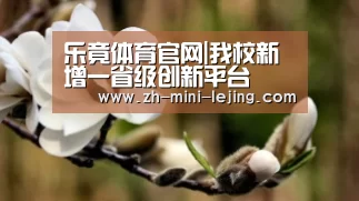 乐竟APP最新版本下载