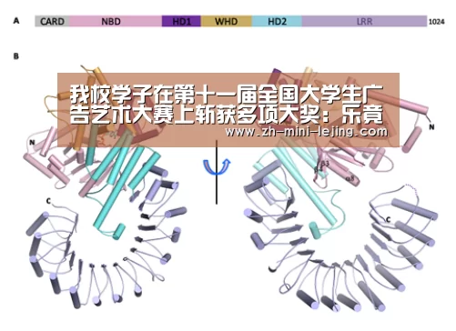 我校学子在第十一届全国大学生广告艺术大赛上斩获多项大奖:乐竟APP最新版本下载(图2) 使用指南