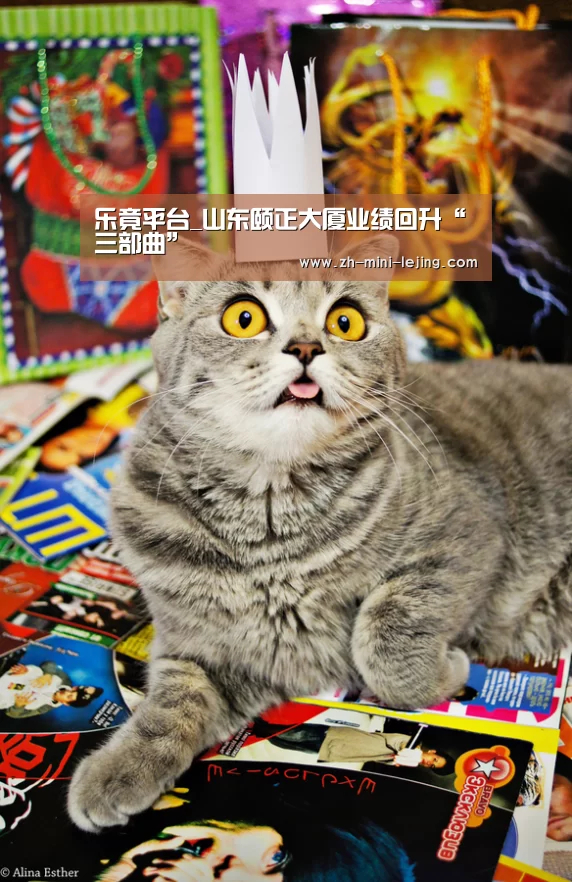 乐竟平台_山东颐正大厦业绩回升“三部曲”(图1) 使用指南