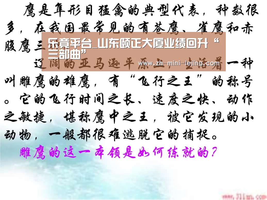 乐竟平台_山东颐正大厦业绩回升“三部曲”(图2) 使用指南