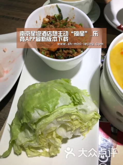 使用指南