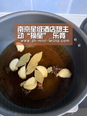 使用指南