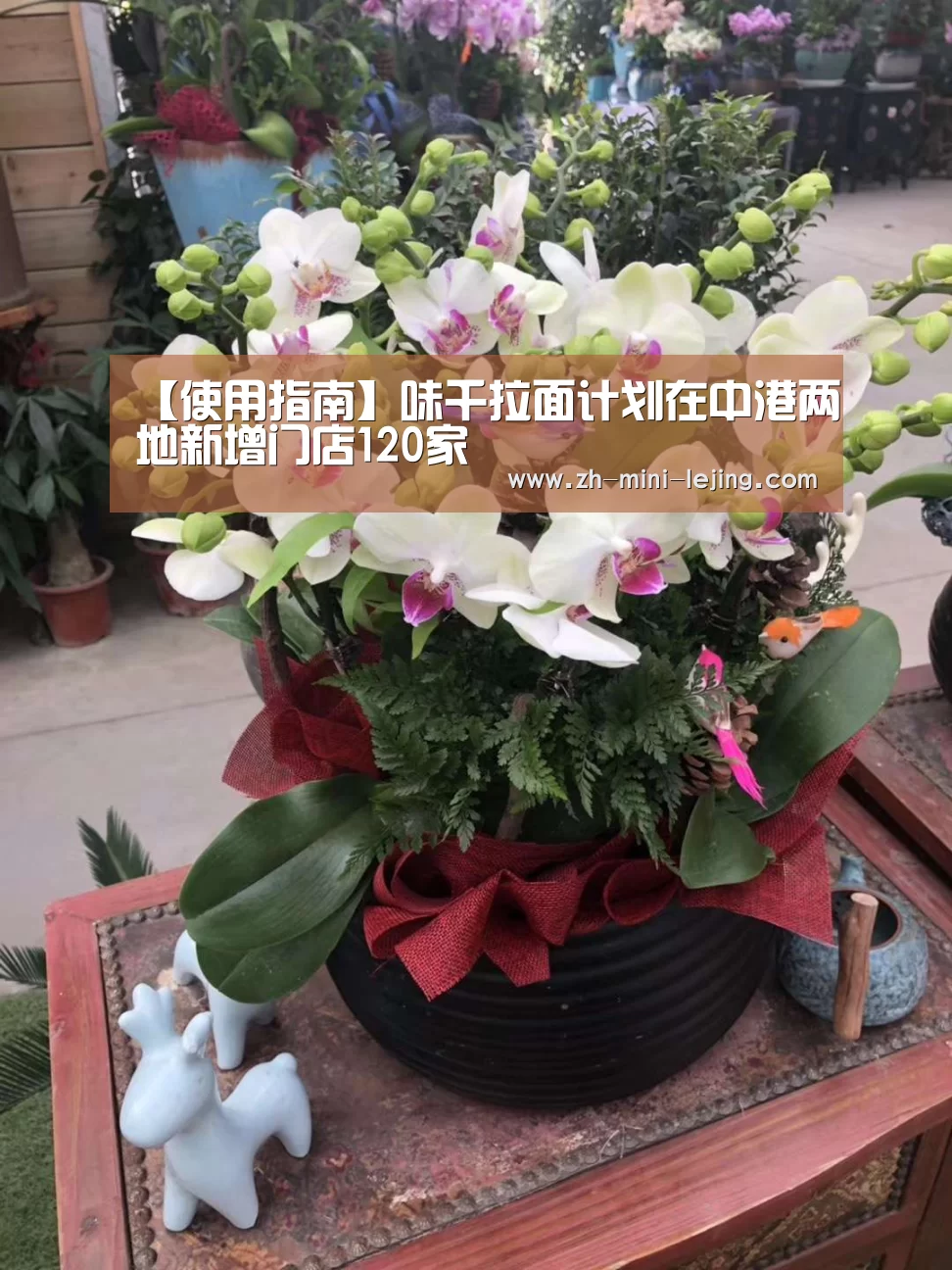 乐竟APP最新版本下载